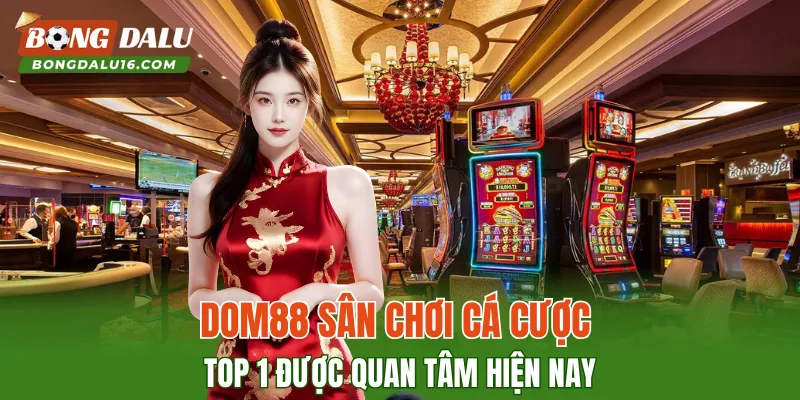 DOM88 – Sân Chơi Cá Cược Top 1 Được Quan Tâm Hiện Nay