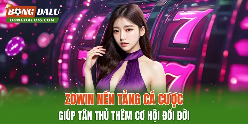 ZOWIN – Nền Tảng Cá Cược Giúp Tân Thủ Thêm Cơ Hội Đổi Đời