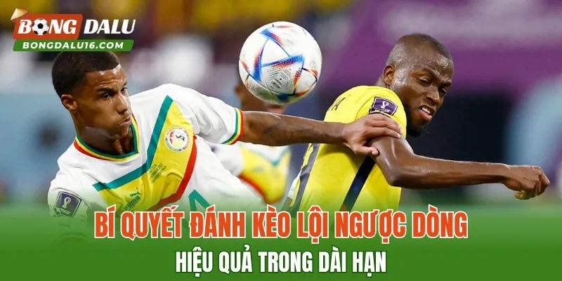 Bí quyết đánh kèo lội ngược dòng hiệu quả trong dài hạn