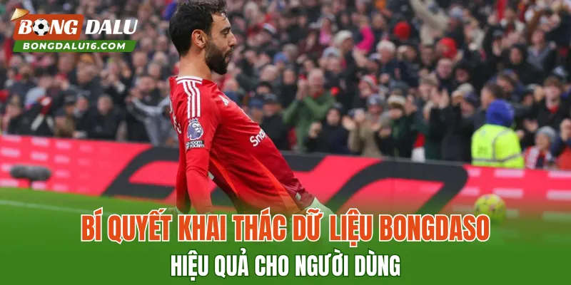 Bí quyết khai thác dữ liệu Bongdaso hiệu quả cho người dùng