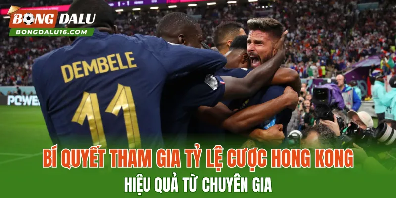 Bí quyết tham gia tỷ lệ cược Hong Kong hiệu quả từ chuyên gia