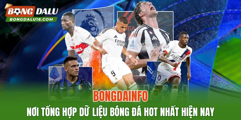 BONGDAINFO