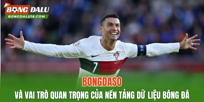Bongdaso và vai trò quan trọng của nền tảng dữ liệu bóng đá