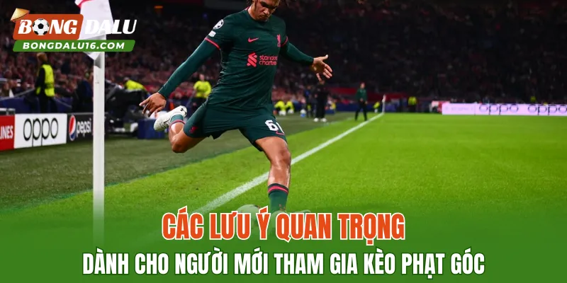 Các lưu ý quan trọng dành cho người mới tham gia kèo phạt góc