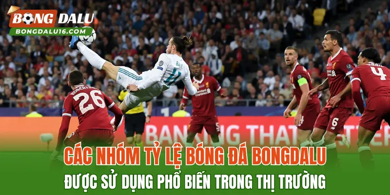Các nhóm Tỷ lệ bóng đá BONGDALU được sử dụng phổ biến trong thị trường