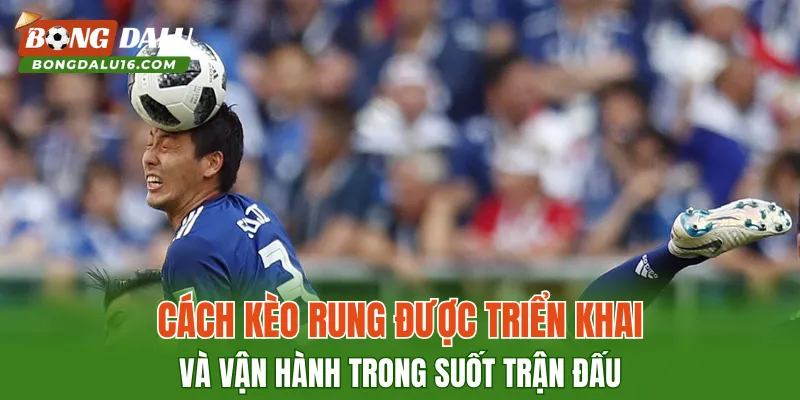 Cách kèo rung được triển khai và vận hành trong suốt trận đấu