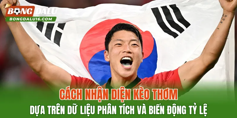 Cách nhận diện kèo thơm dựa trên dữ liệu phân tích và biến động tỷ lệ