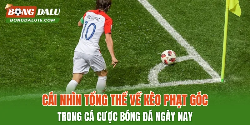Cái nhìn tổng thể về kèo phạt góc trong cá cược bóng đá ngày nay