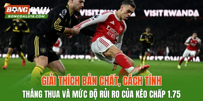 Giải thích bản chất, cách tính thắng thua và mức độ rủi ro của kèo chấp 1.75