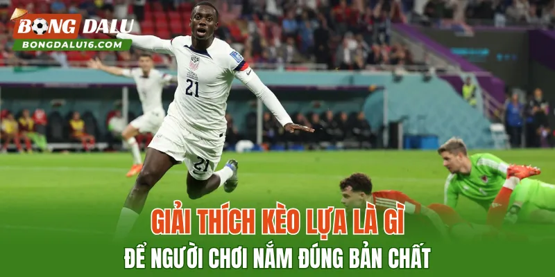 Giải thích kèo lựa là gì để người chơi nắm đúng bản chất
