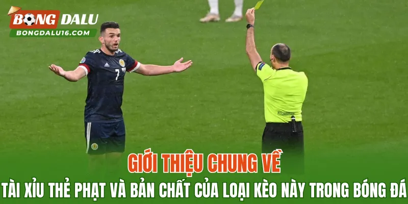 Giới thiệu chung về tài xỉu thẻ phạt và bản chất của loại kèo này trong bóng đá