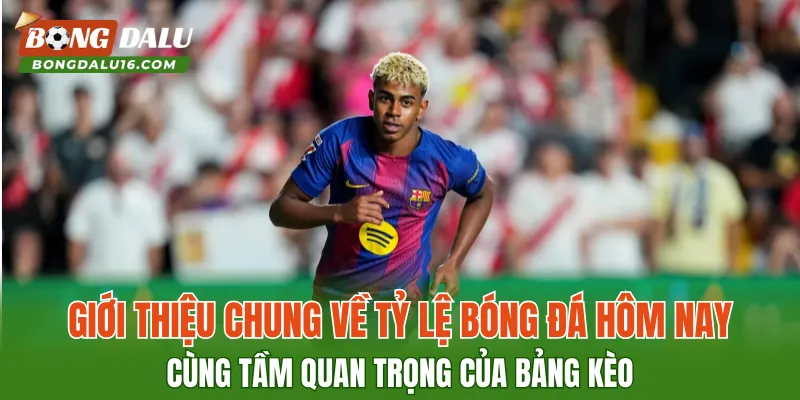 Giới thiệu chung về tỷ lệ bóng đá hôm nay cùng tầm quan trọng của bảng kèo