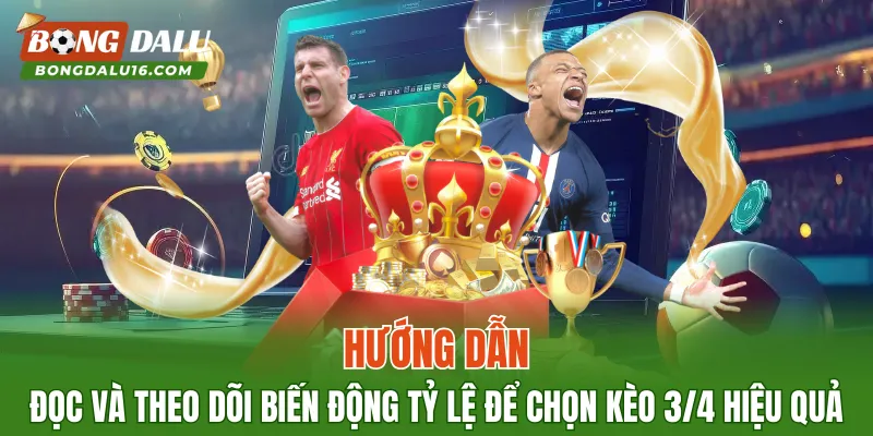Hướng dẫn đọc và theo dõi biến động tỷ lệ để chọn kèo 3/4 hiệu quả