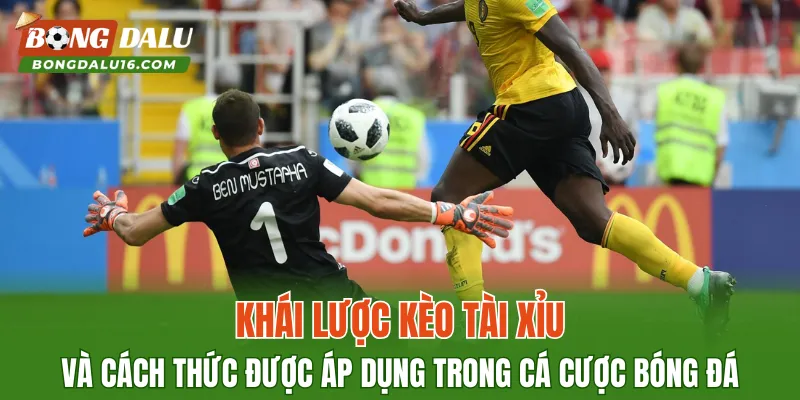 Khái lược kèo Tài Xỉu và cách thức được áp dụng trong cá cược bóng đá