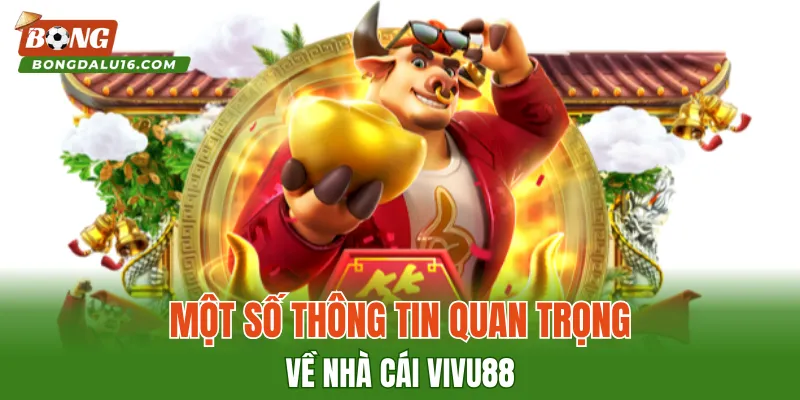 Một số thông tin quan trọng về nhà cái VIVU88