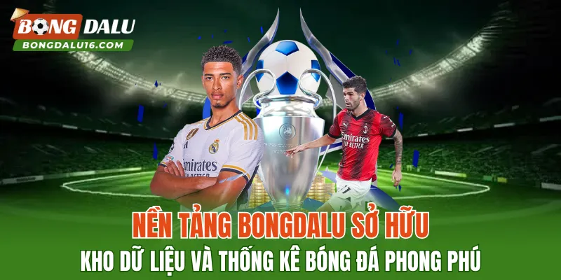 Nền tảng BONGDALU sở hữu kho dữ liệu và thống kê bóng đá phong phú