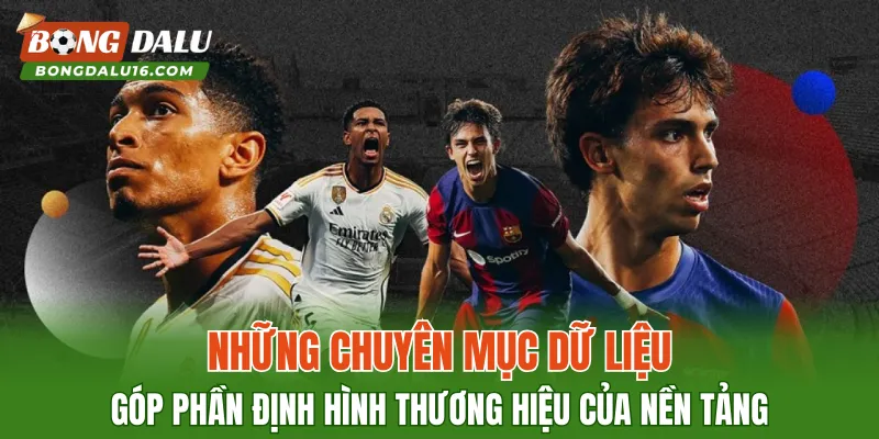 Những chuyên mục dữ liệu góp phần định hình thương hiệu của nền tảng
