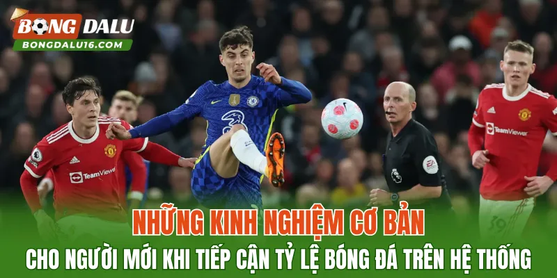 Những kinh nghiệm cơ bản cho người mới khi tiếp cận tỷ lệ bóng đá trên hệ thống