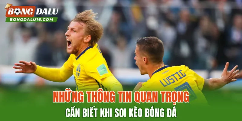 Những thông tin quan trọng cần biết khi soi kèo bóng đá