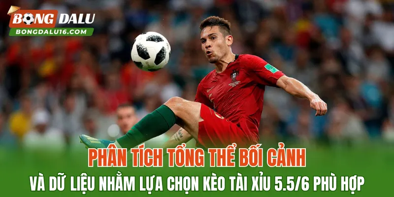Phân tích tổng thể bối cảnh và dữ liệu nhằm lựa chọn kèo Tài Xỉu 5.5/6 phù hợp