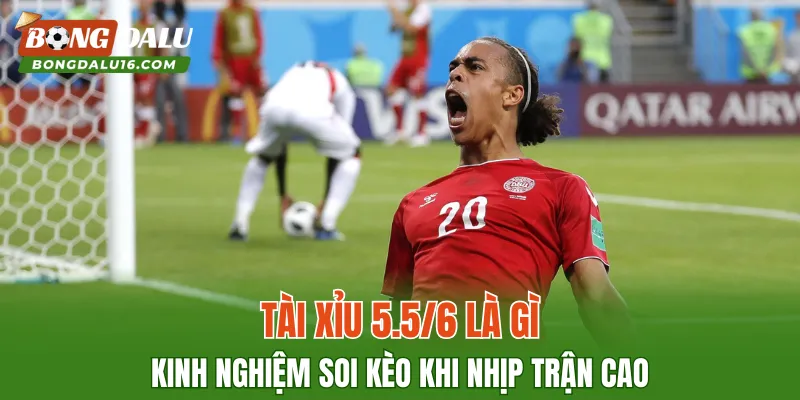 Tài Xỉu 5.5/6 Là Gì