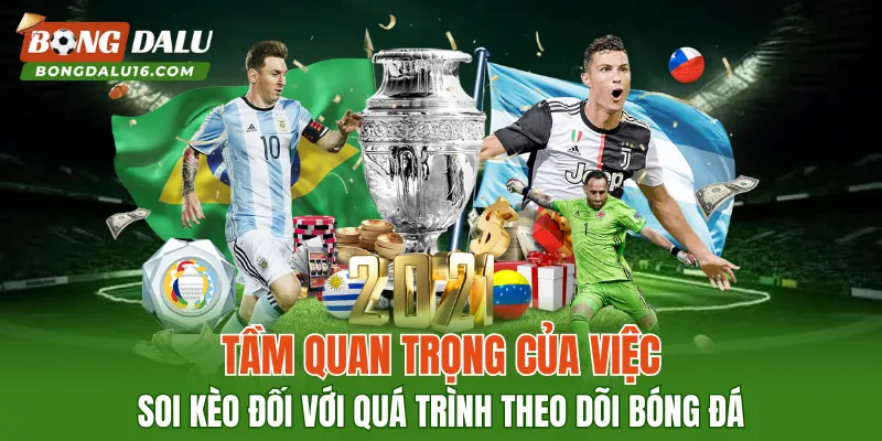 Tầm quan trọng của việc soi kèo đối với quá trình theo dõi bóng đá