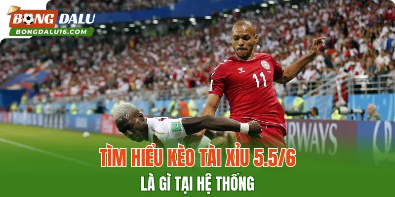 Tìm hiểu kèo Tài Xỉu 5.5/6 là gì tại hệ thống