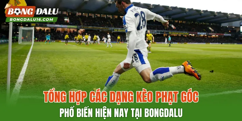 Tổng hợp các dạng kèo phạt góc phổ biến hiện nay tại BONGDALU