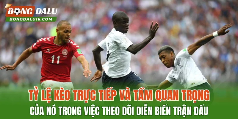 Tỷ lệ kèo trực tiếp và tầm quan trọng của nó trong việc theo dõi diễn biến trận đấu