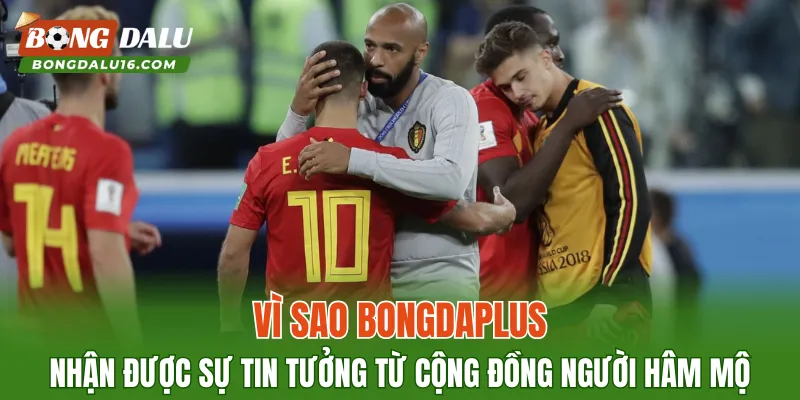 Vì sao Bongdaplus nhận được sự tin tưởng từ cộng đồng người hâm mộ