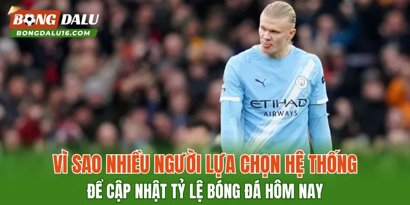 Vì sao nhiều người lựa chọn hệ thống để cập nhật tỷ lệ bóng đá hôm nay